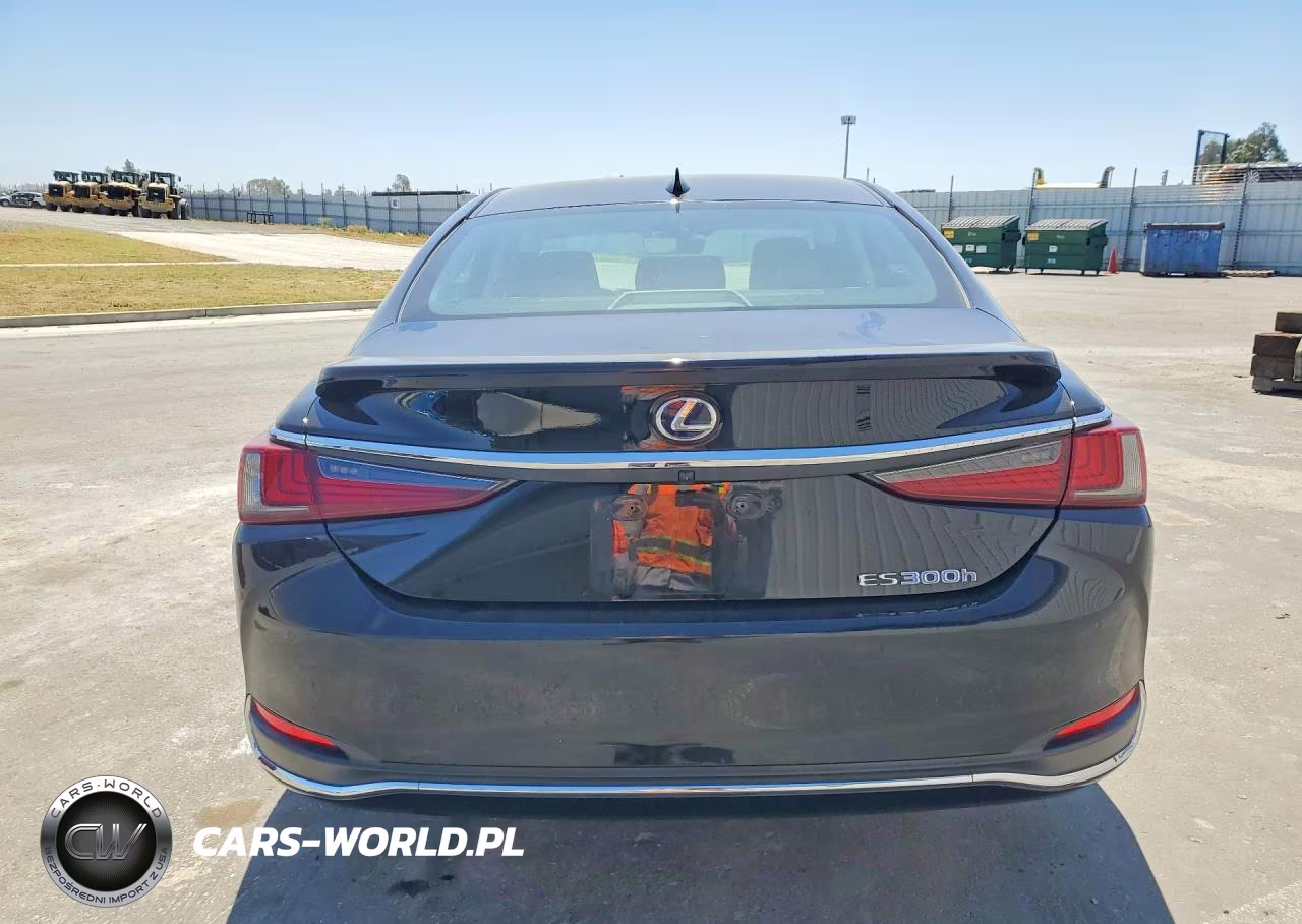 2020 Lexus Es 300H VIN:58AD21B19LU011314 - 6