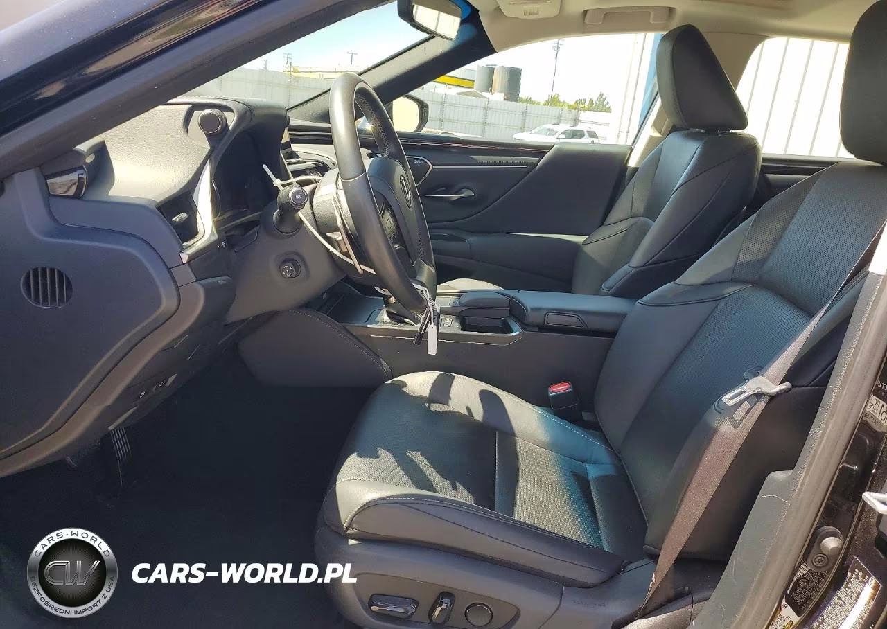 2020 Lexus Es 300H VIN:58AD21B19LU011314 - 7