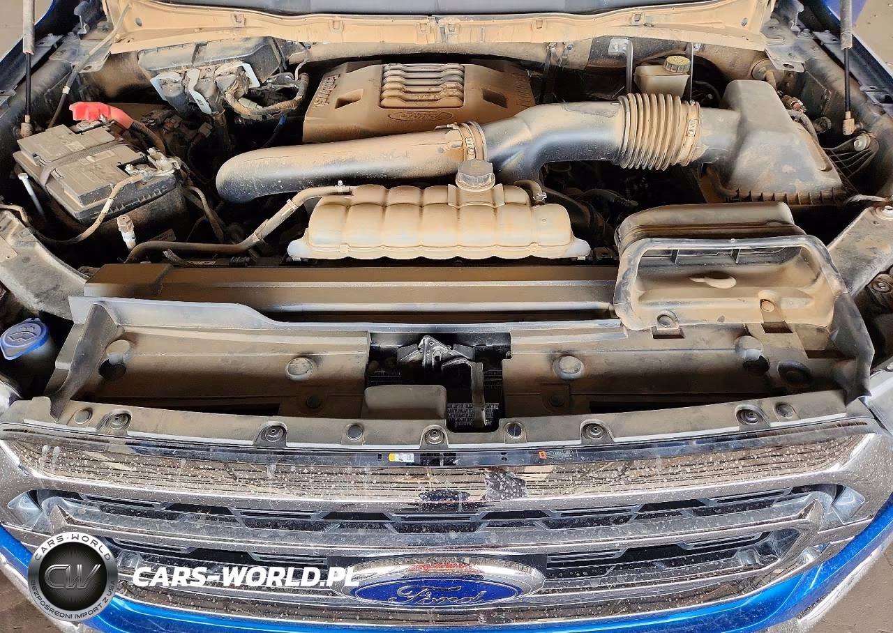 2021 Ford F150 Supercrew VIN:1FTFW1E80MFA21771 - 11