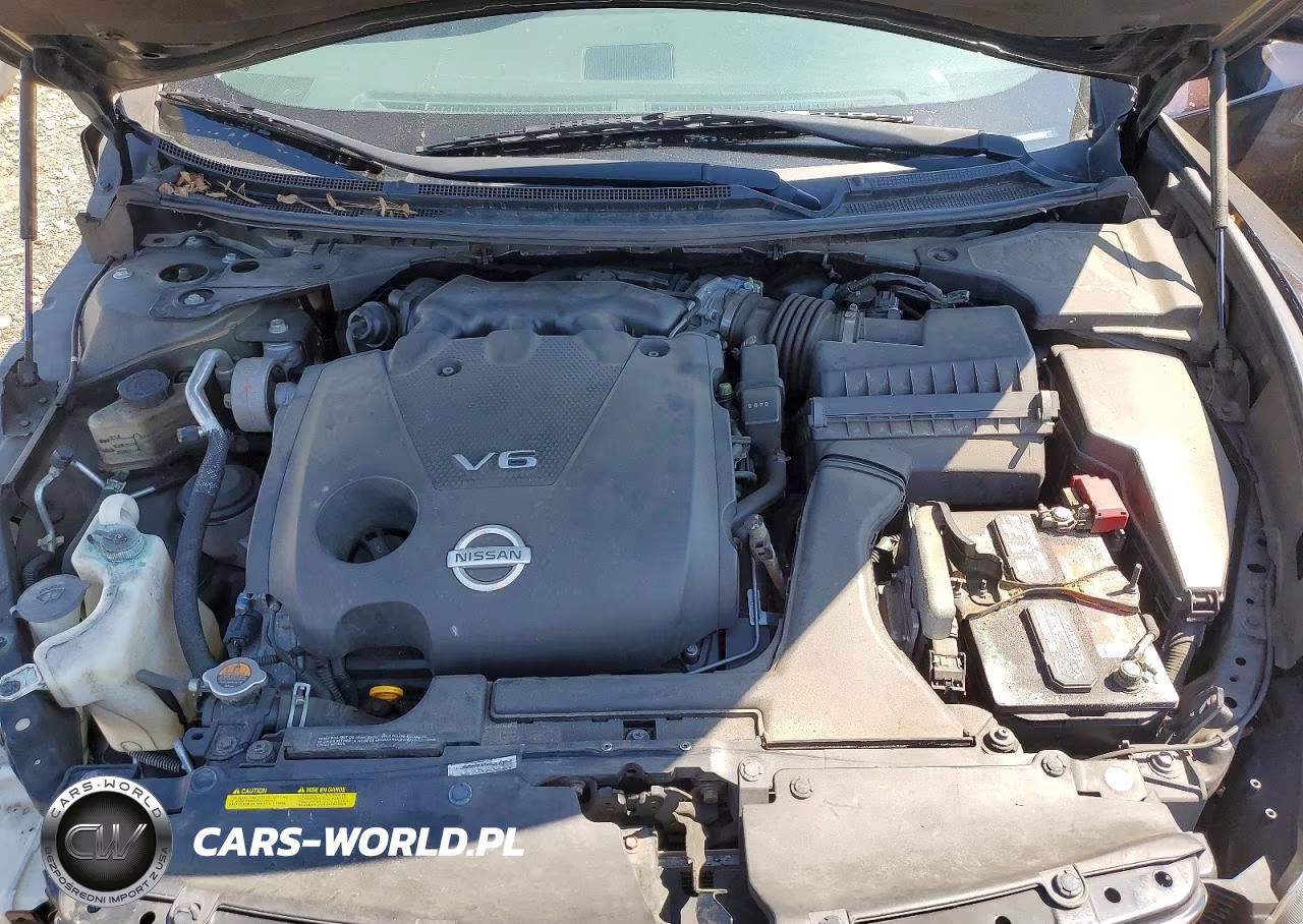 2010 Nissan Maxima 3.5 S VIN:1N4AA5AP9AC860804 - 11