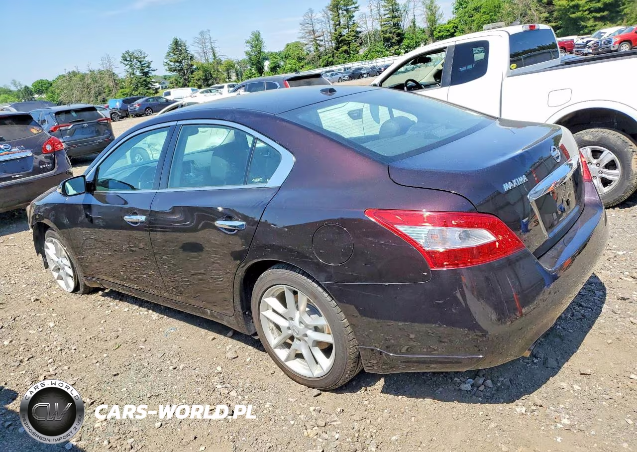2010 Nissan Maxima 3.5 S VIN:1N4AA5AP9AC860804 - 2