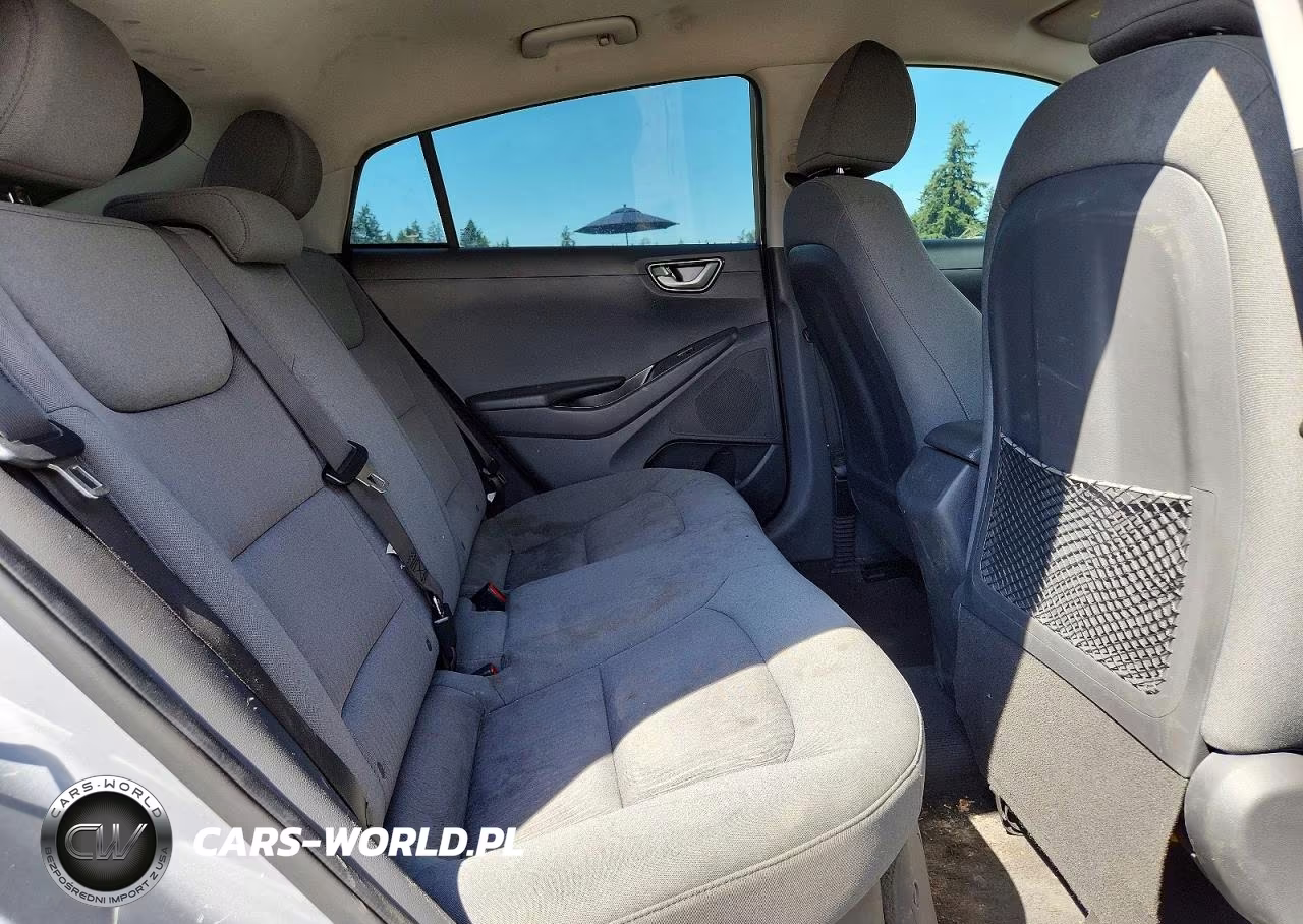 2020 Hyundai Ioniq Blue VIN:KMHC65LC9LU234922 - 10