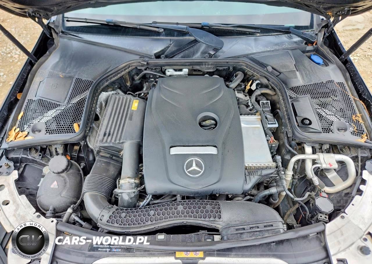2018 Mercedes-Benz C 300 VIN:55SWF4JB0JU278964 - 11