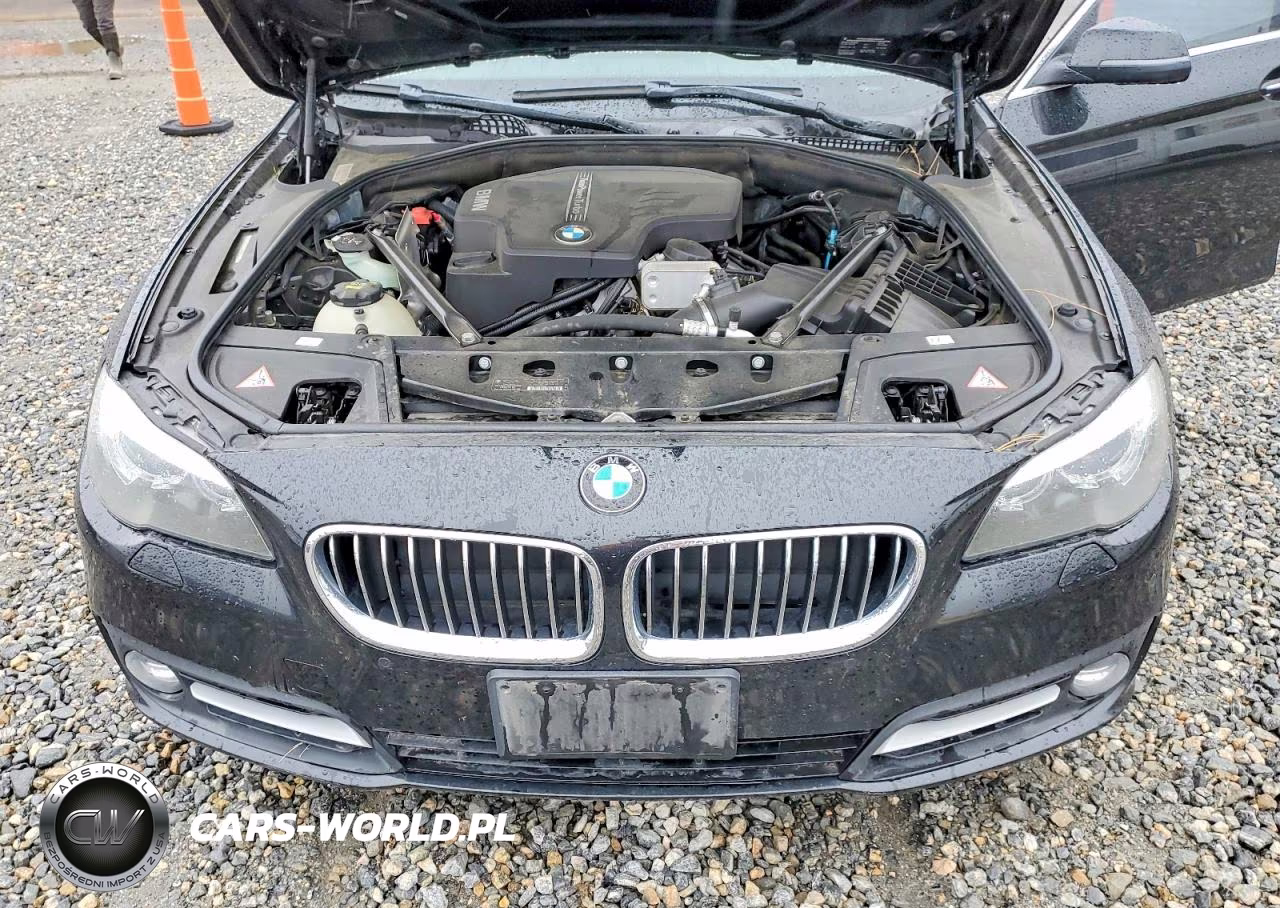 2015 BMW 528 Xi VIN:WBA5A7C52FD625792 - 11
