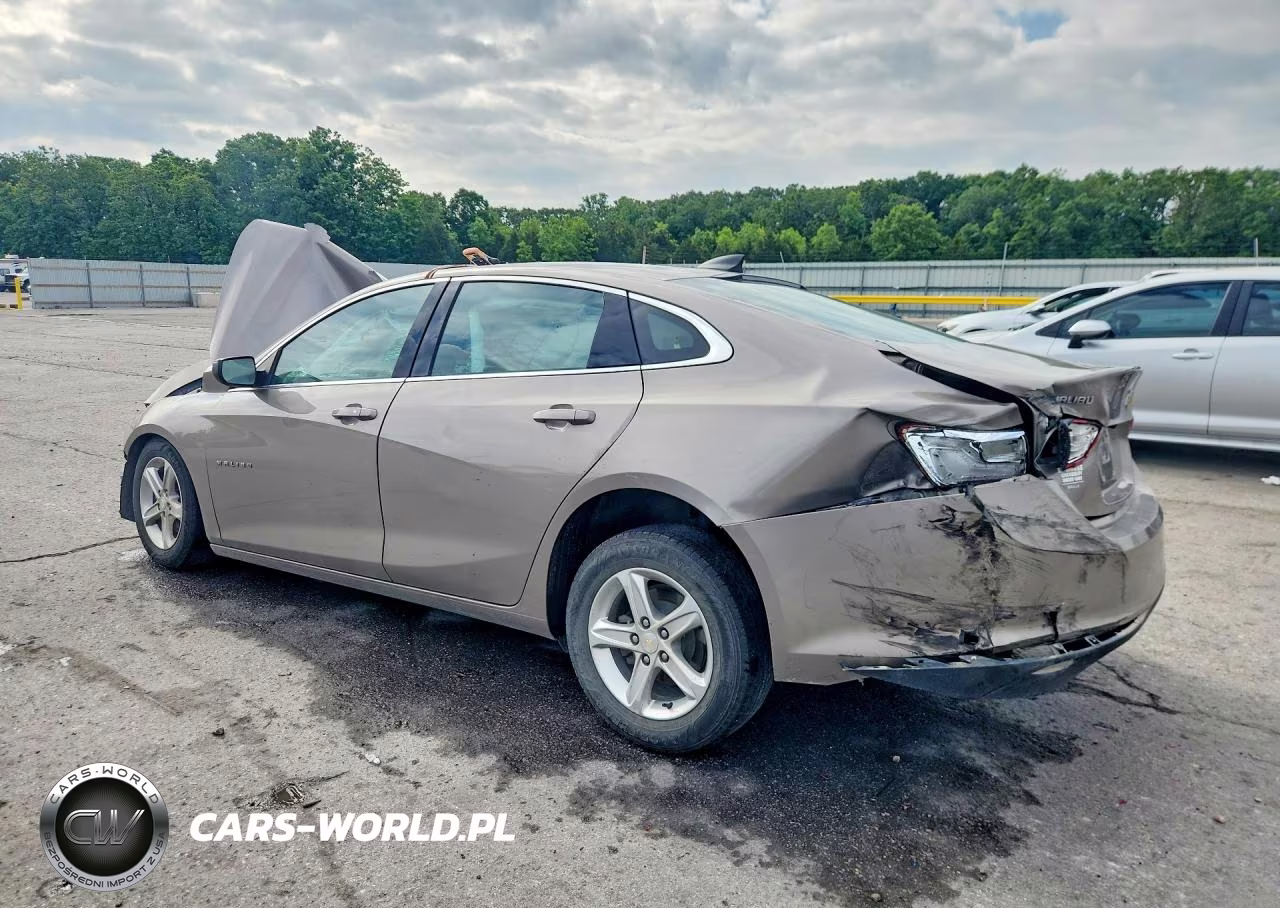 2022 Chevrolet Malibu Ls VIN:1G1ZB5ST6NF207463 - 2