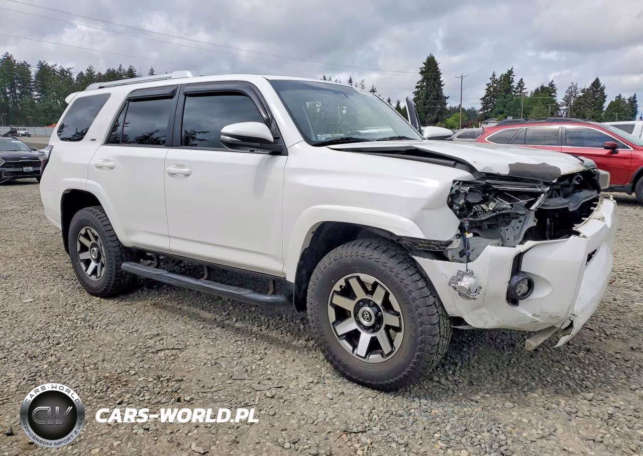 2014 Toyota 4Runner Sr5 Premium VIN:JTEBU5JR8E5199487 - 4