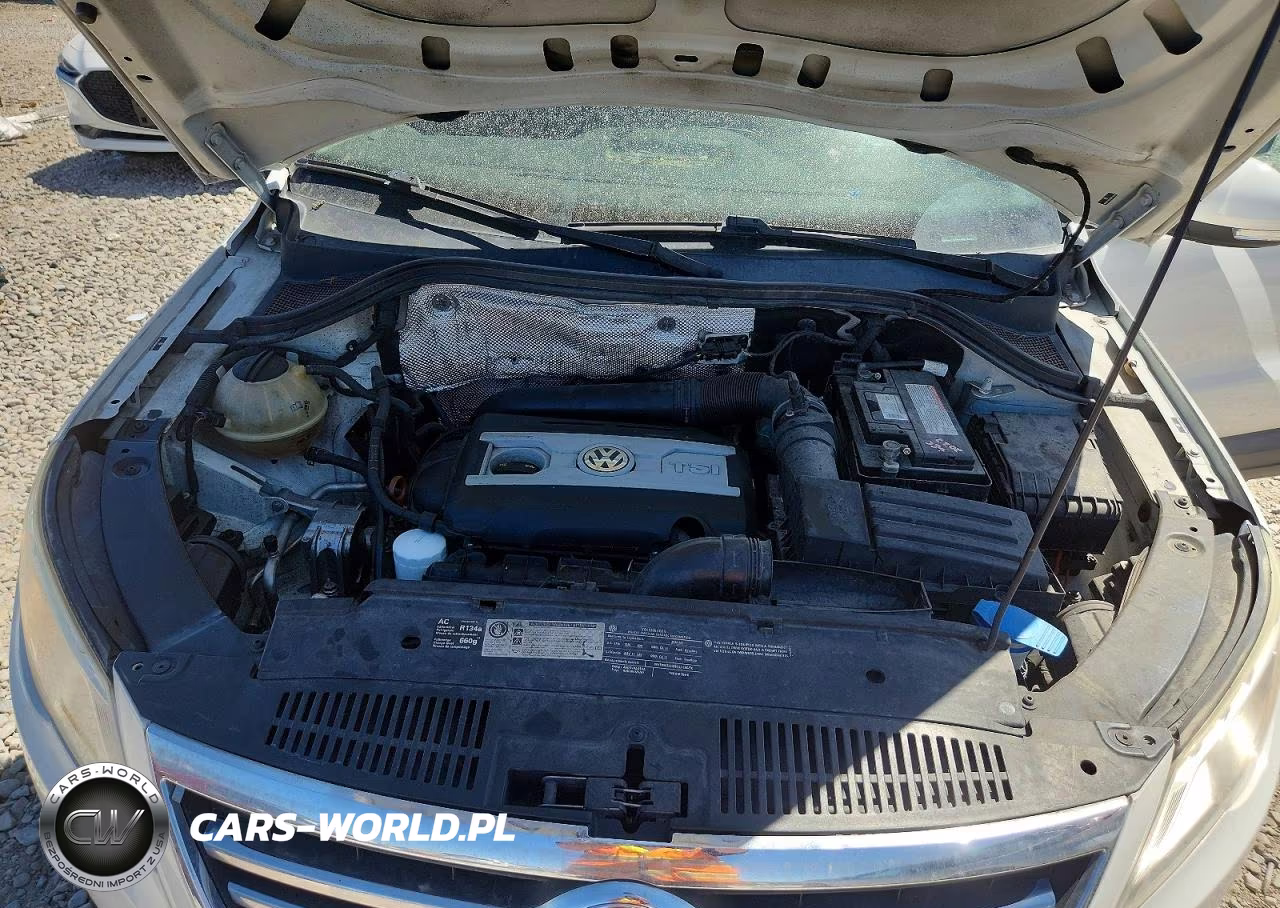 2010 Volkswagen Tiguan Se VIN:WVGBV7AX4AW518296 - 12