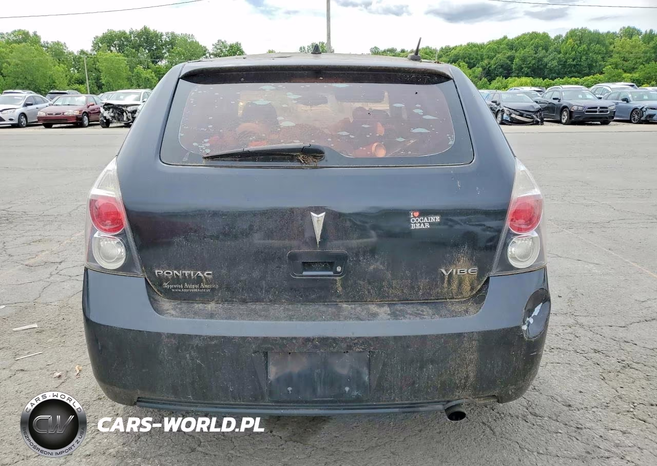 2009 Pontiac Vibe VIN:5Y2SP67029Z466583 - 6