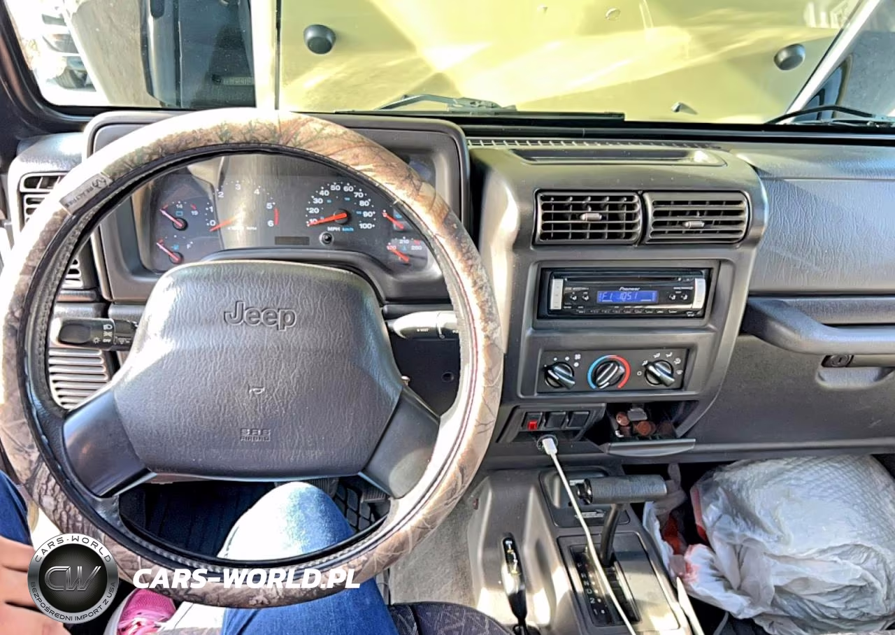 2001 Jeep Wrangler - Tj Se VIN:1J4FA29P01P324149 - 9