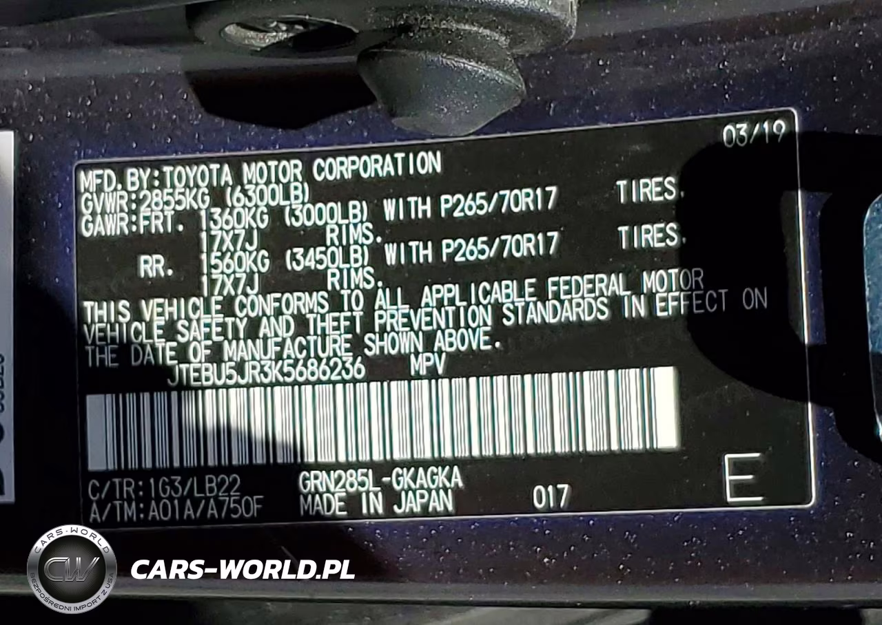 2019 Toyota 4Runner Sr5 Premium VIN:JTEBU5JR3K5686236 - 13