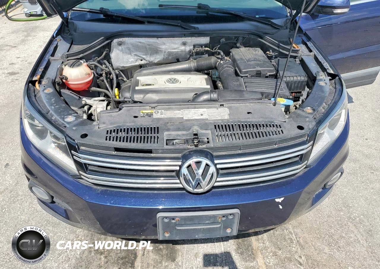 2015 Volkswagen Tiguan S VIN:WVGBV7AX2FW599130 - 12