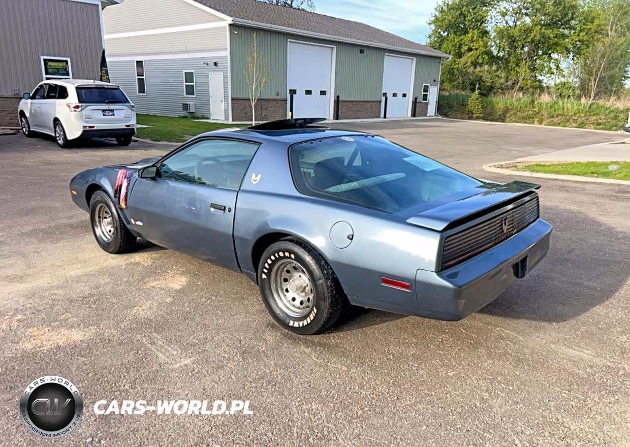 1983 Pontiac Firebird Trans Am VIN:1G2AW87H9DL203250 - 3