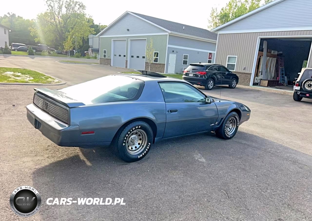 1983 Pontiac Firebird Trans Am VIN:1G2AW87H9DL203250 - 4