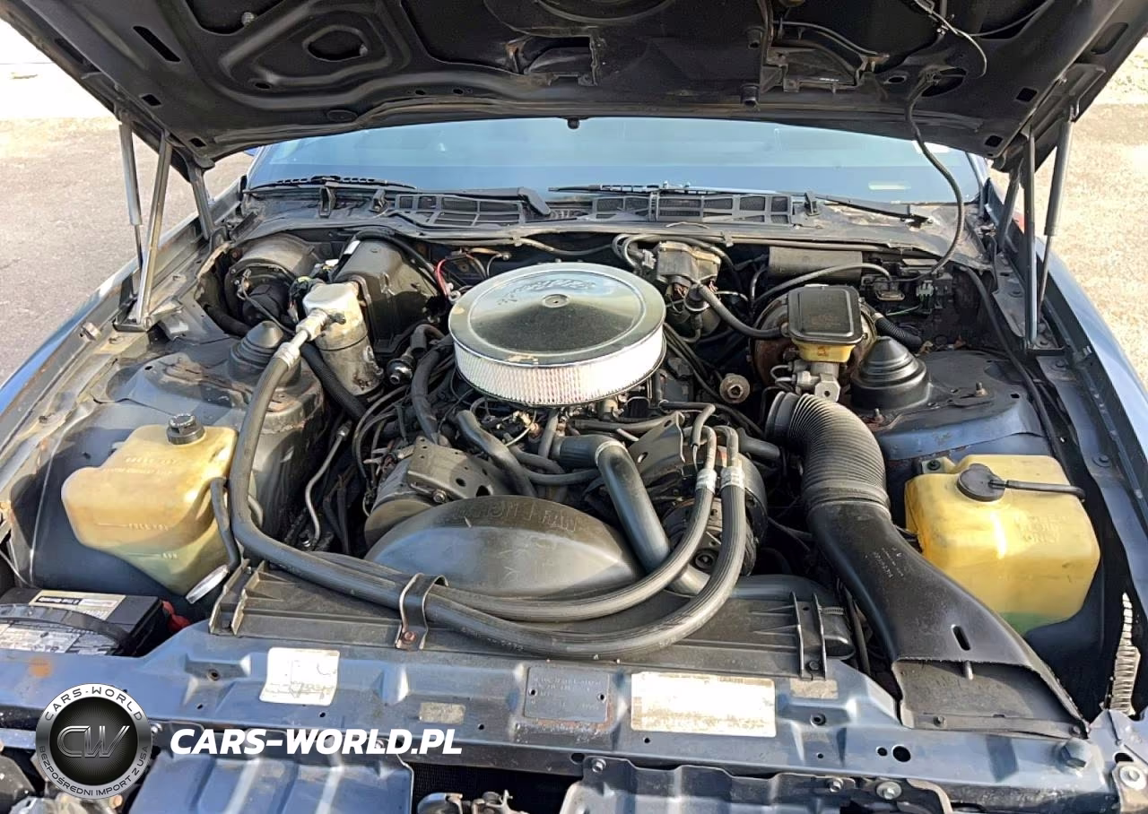 1983 Pontiac Firebird Trans Am VIN:1G2AW87H9DL203250 - 7
