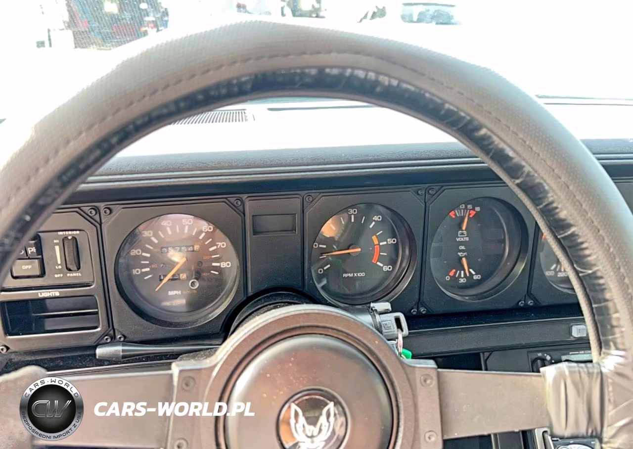 1983 Pontiac Firebird Trans Am VIN:1G2AW87H9DL203250 - 8