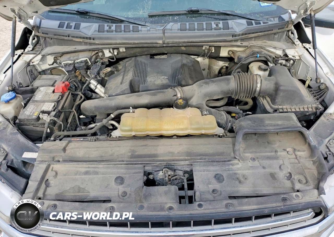 2019 Ford F150 Supercrew VIN:1FTEW1E45KKD88517 - 11