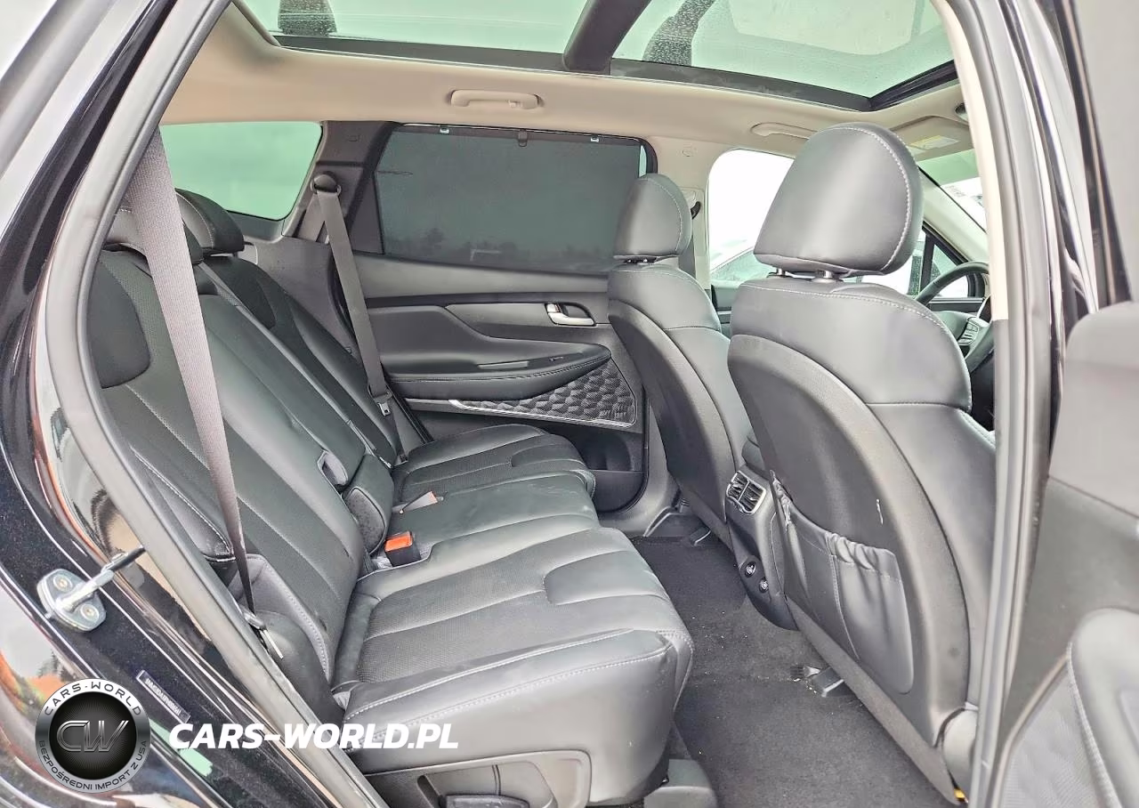 2023 Hyundai Santa Fe Sel Premium VIN:5NMS3DA11PH006561 - 11