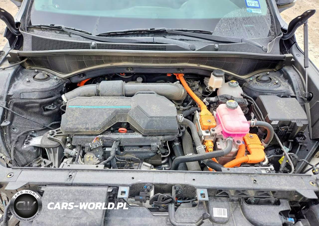 2023 Hyundai Santa Fe Sel Premium VIN:5NMS3DA11PH006561 - 12