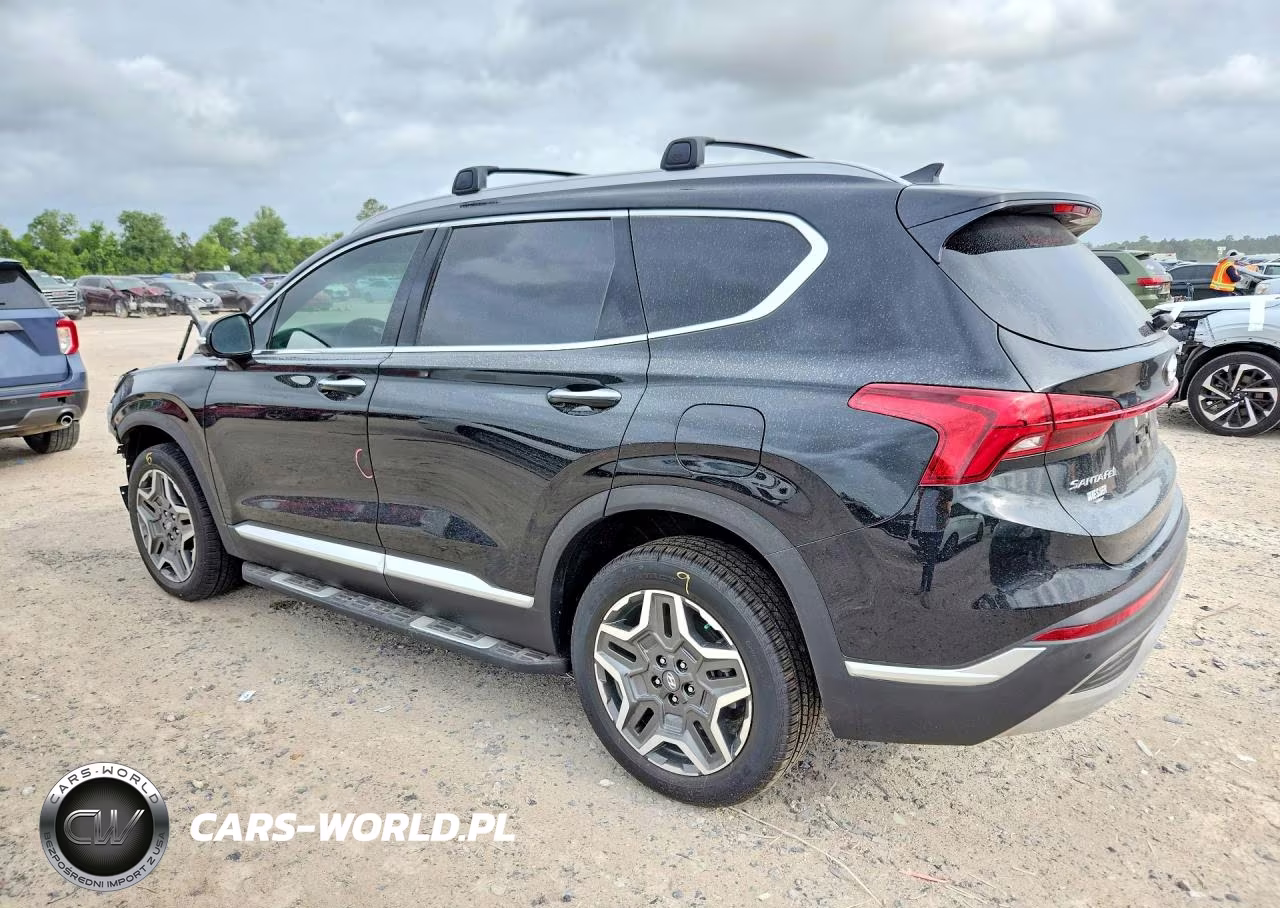 2023 Hyundai Santa Fe Sel Premium VIN:5NMS3DA11PH006561 - 2