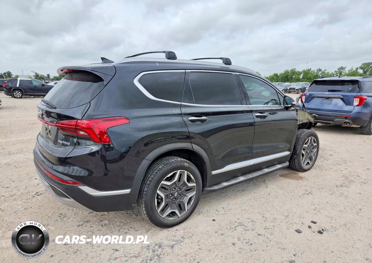 2023 Hyundai Santa Fe Sel Premium VIN:5NMS3DA11PH006561 - 3