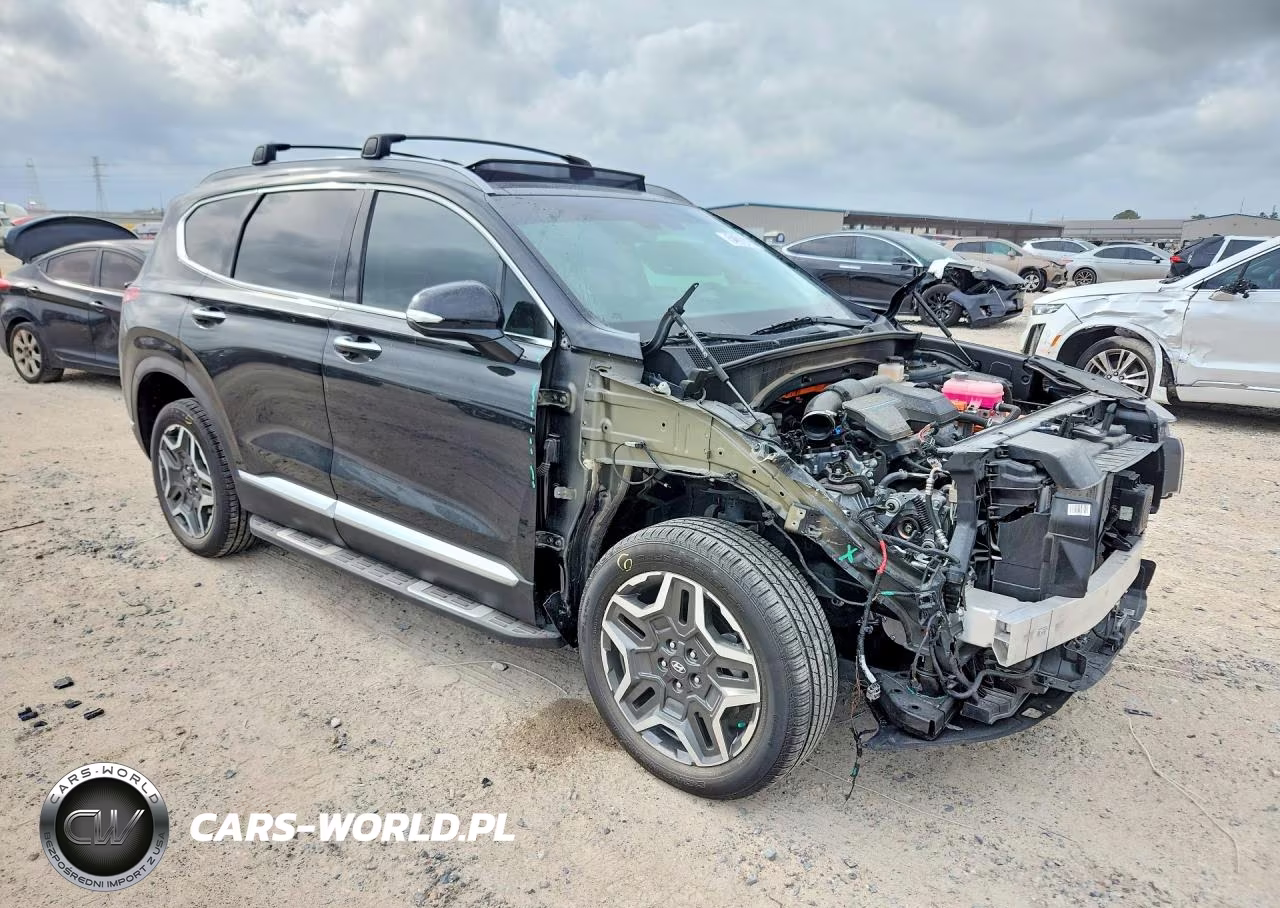 2023 Hyundai Santa Fe Sel Premium VIN:5NMS3DA11PH006561 - 4