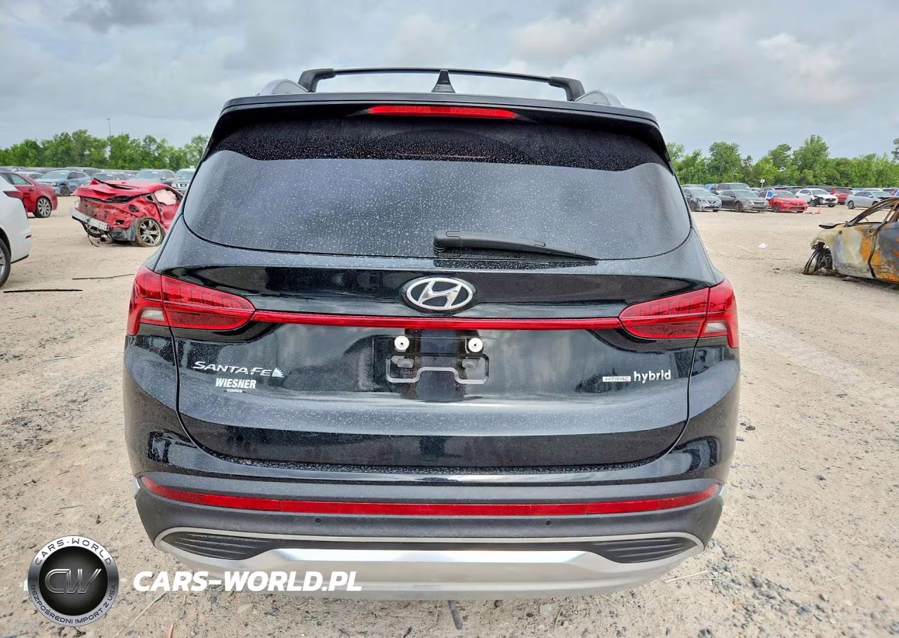 2023 Hyundai Santa Fe Sel Premium VIN:5NMS3DA11PH006561 - 6
