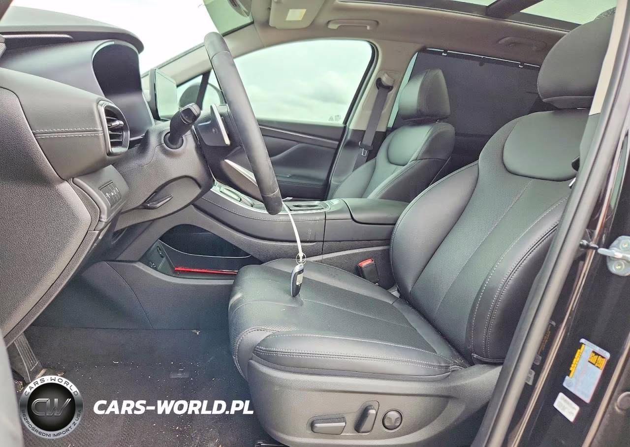 2023 Hyundai Santa Fe Sel Premium VIN:5NMS3DA11PH006561 - 7