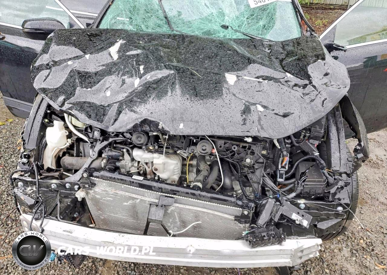 2019 Honda Cr-V Ex VIN:5J6RW1H54KA016902 - 12