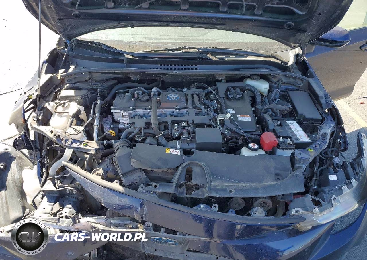 2021 Toyota Corolla Le VIN:JTDEAMDE5MJ031860 - 11