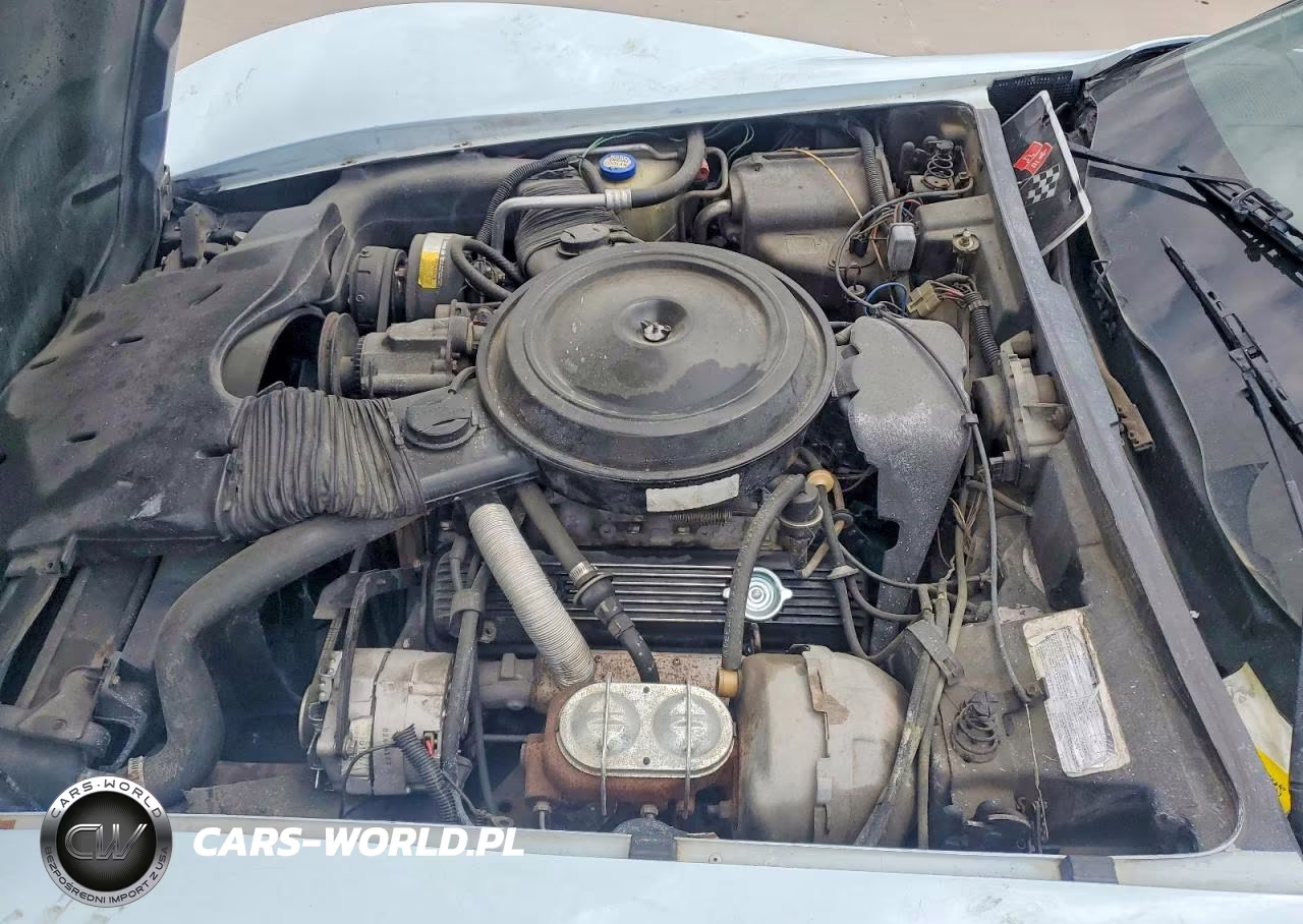 1979 Chevrolet Corvette VIN:1Z8749S440930 - 11
