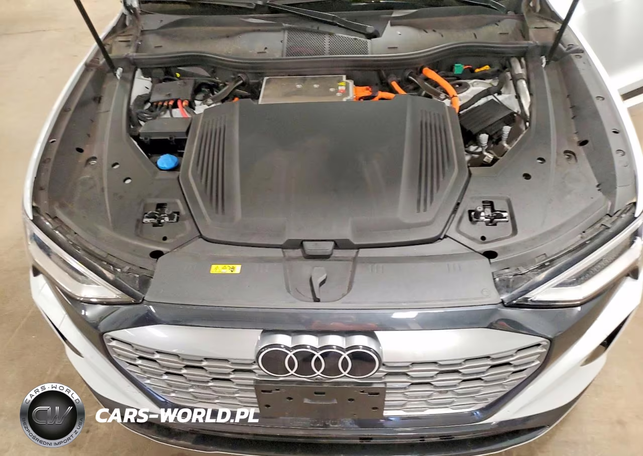 2024 Audi Q8 E-Tron Premium Plus VIN:WA15AAGE4RB028759 - 12
