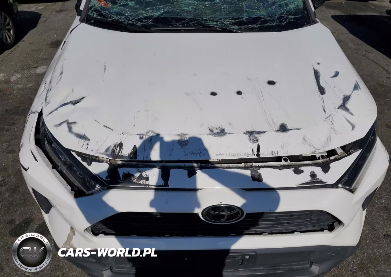 2019 Toyota Rav4 Le VIN:2T3F1RFVXKW028952 - 12