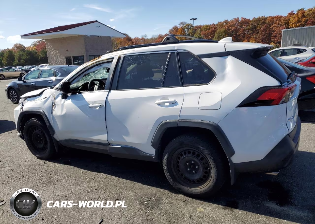2019 Toyota Rav4 Le VIN:2T3F1RFVXKW028952 - 2