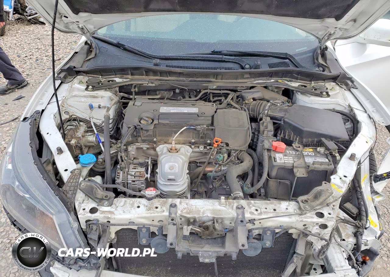 2014 Honda Accord Exl VIN:1HGCR2F88EA195439 - 11