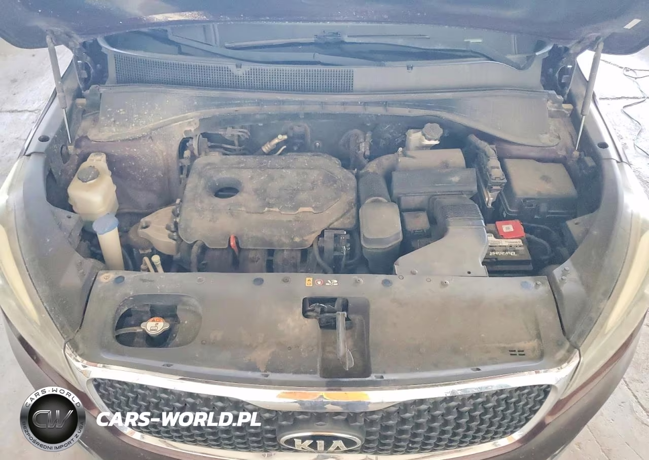 2016 Kia Sorento Lx VIN:5XYPGDA35GG079499 - 12