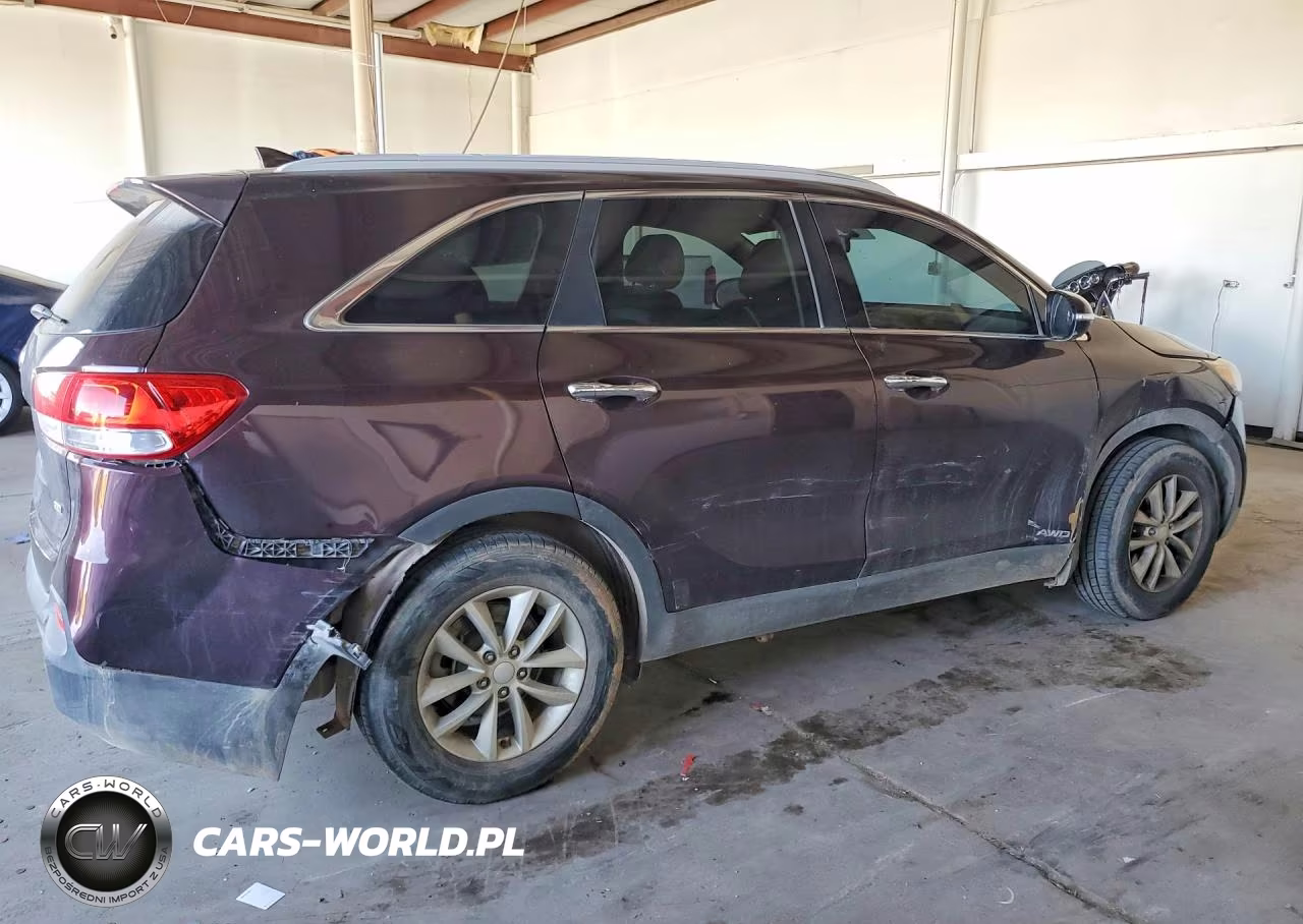 2016 Kia Sorento Lx VIN:5XYPGDA35GG079499 - 3