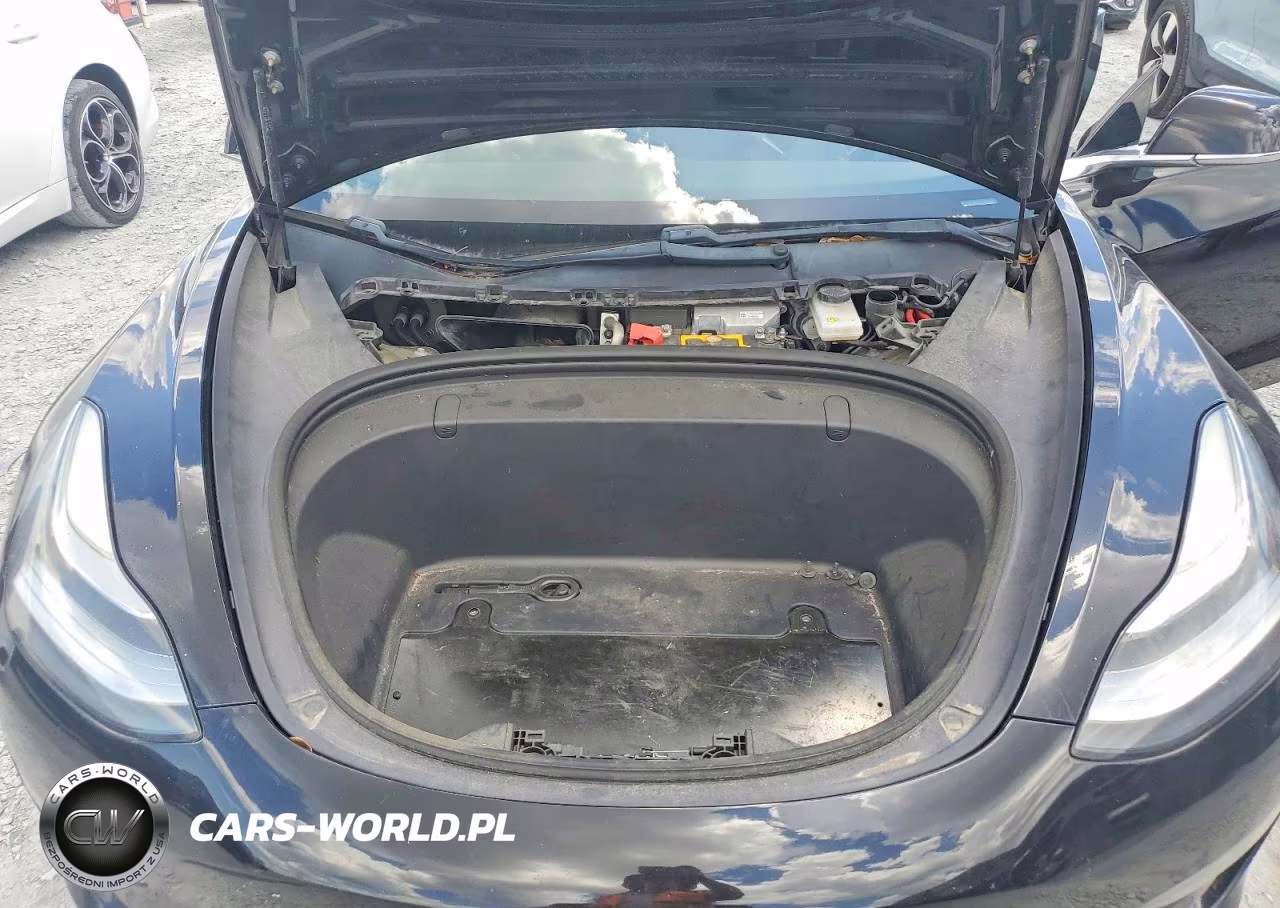 2019 Tesla Model 3 VIN:5YJ3E1EA6KF314231 - 11