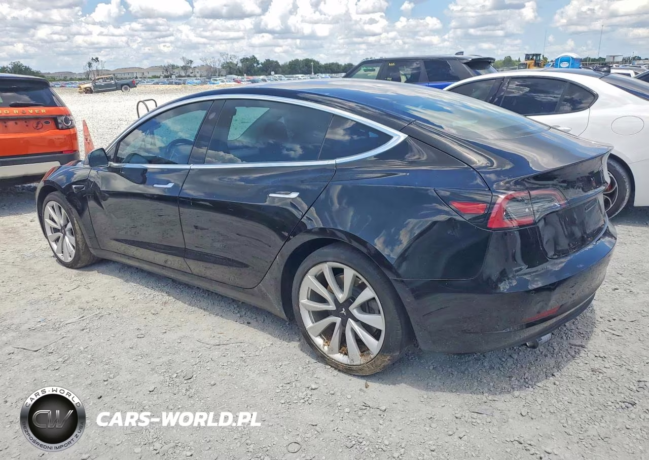 2019 Tesla Model 3 VIN:5YJ3E1EA6KF314231 - 2