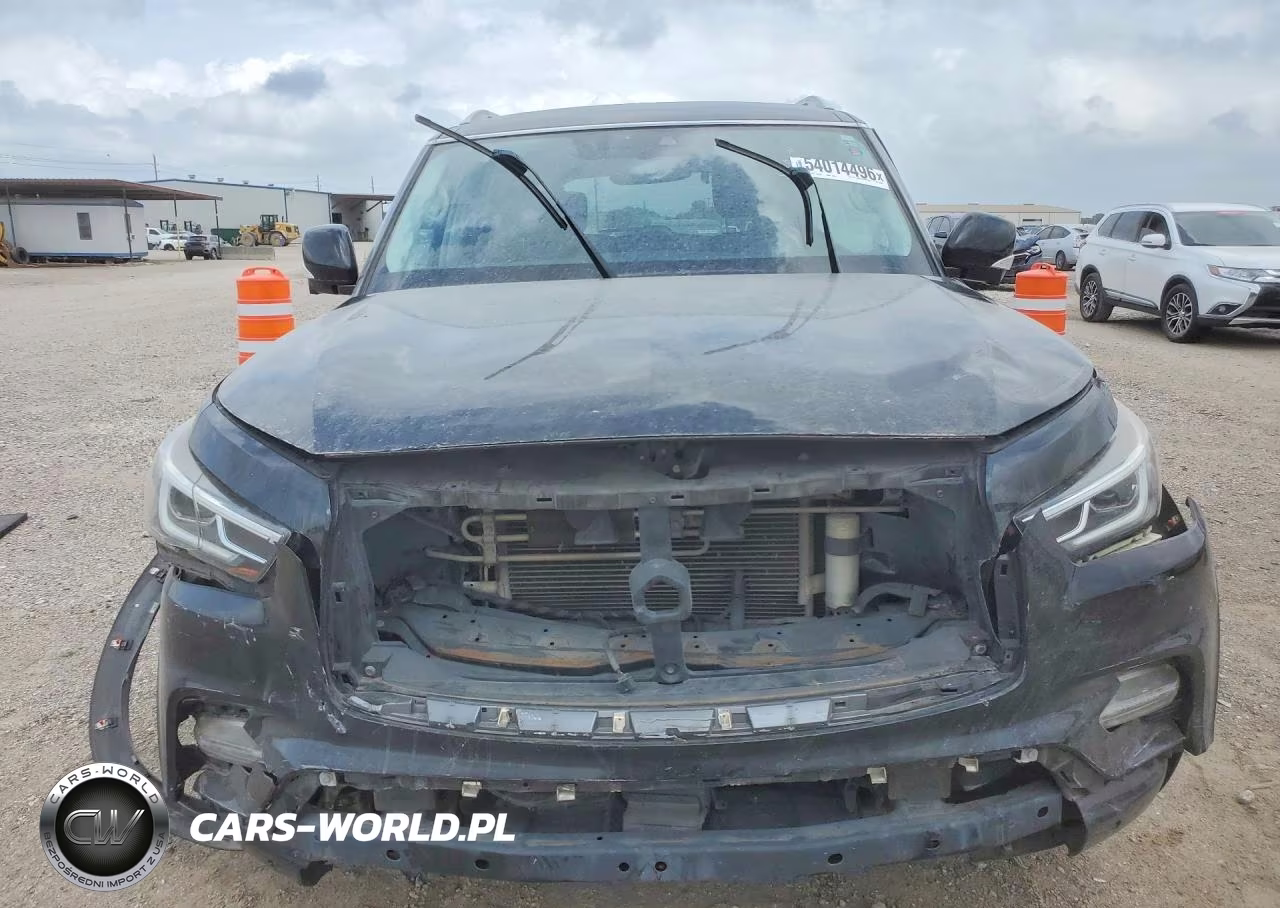 2019 Infiniti Qx80 Luxe VIN:JN8AZ2NF4K9685982 - 5