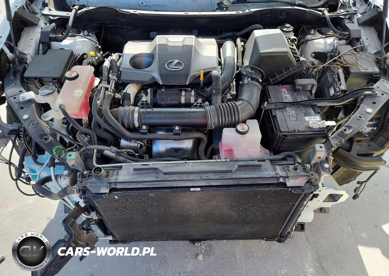 2021 Lexus Nx 300 F Sport VIN:JTJSARBZ3M2191135 - 12