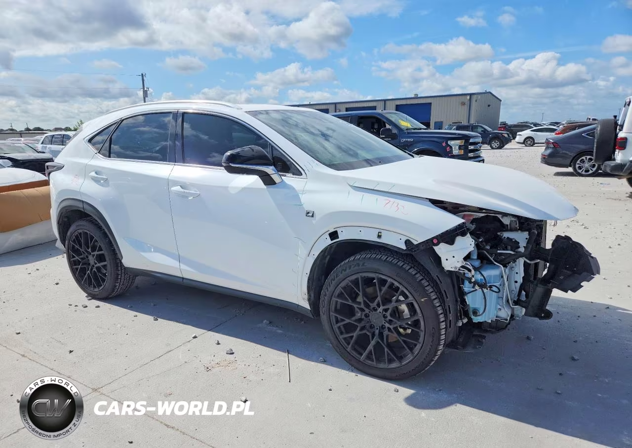 2021 Lexus Nx 300 F Sport VIN:JTJSARBZ3M2191135 - 4