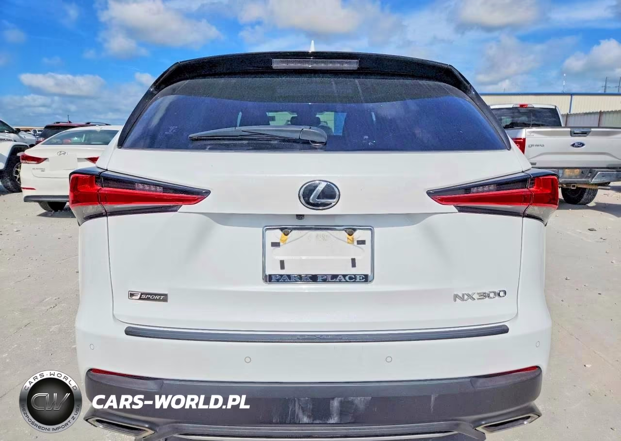 2021 Lexus Nx 300 F Sport VIN:JTJSARBZ3M2191135 - 6