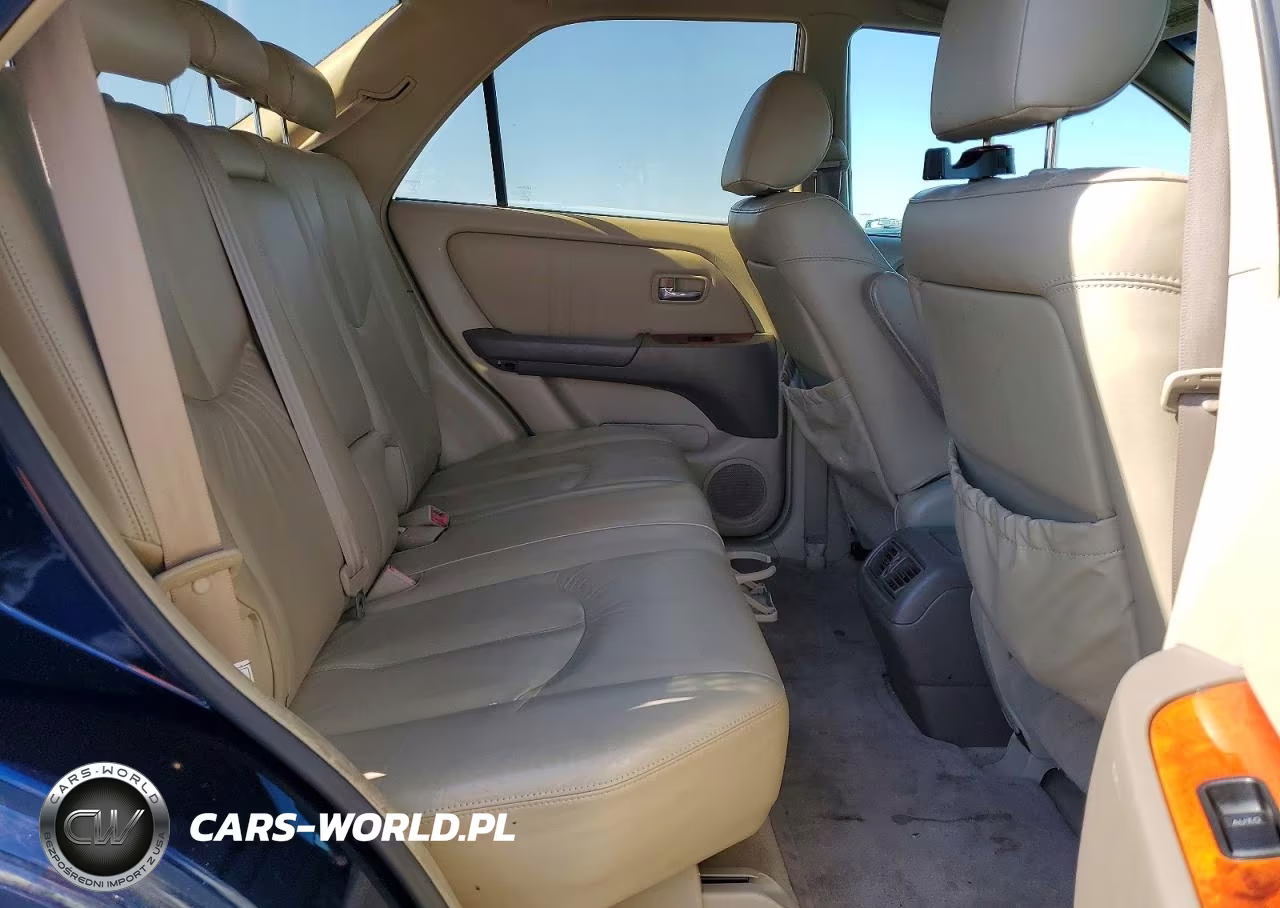 2001 Lexus Rx 300 VIN:JTJGF10U410099281 - 10