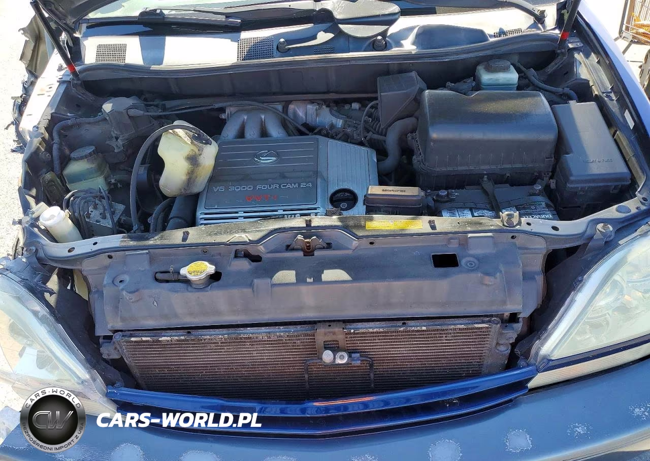 2001 Lexus Rx 300 VIN:JTJGF10U410099281 - 11