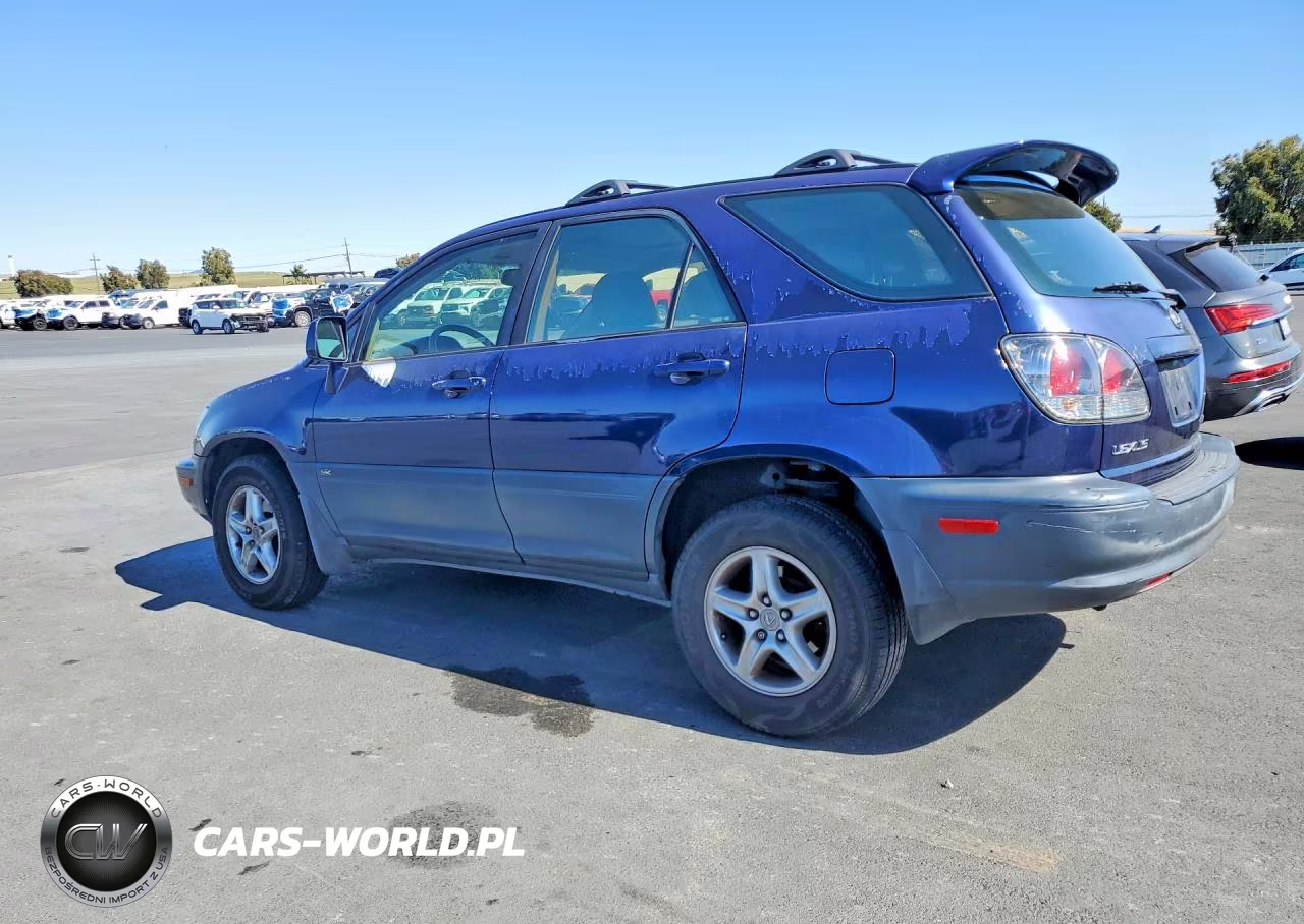 2001 Lexus Rx 300 VIN:JTJGF10U410099281 - 2