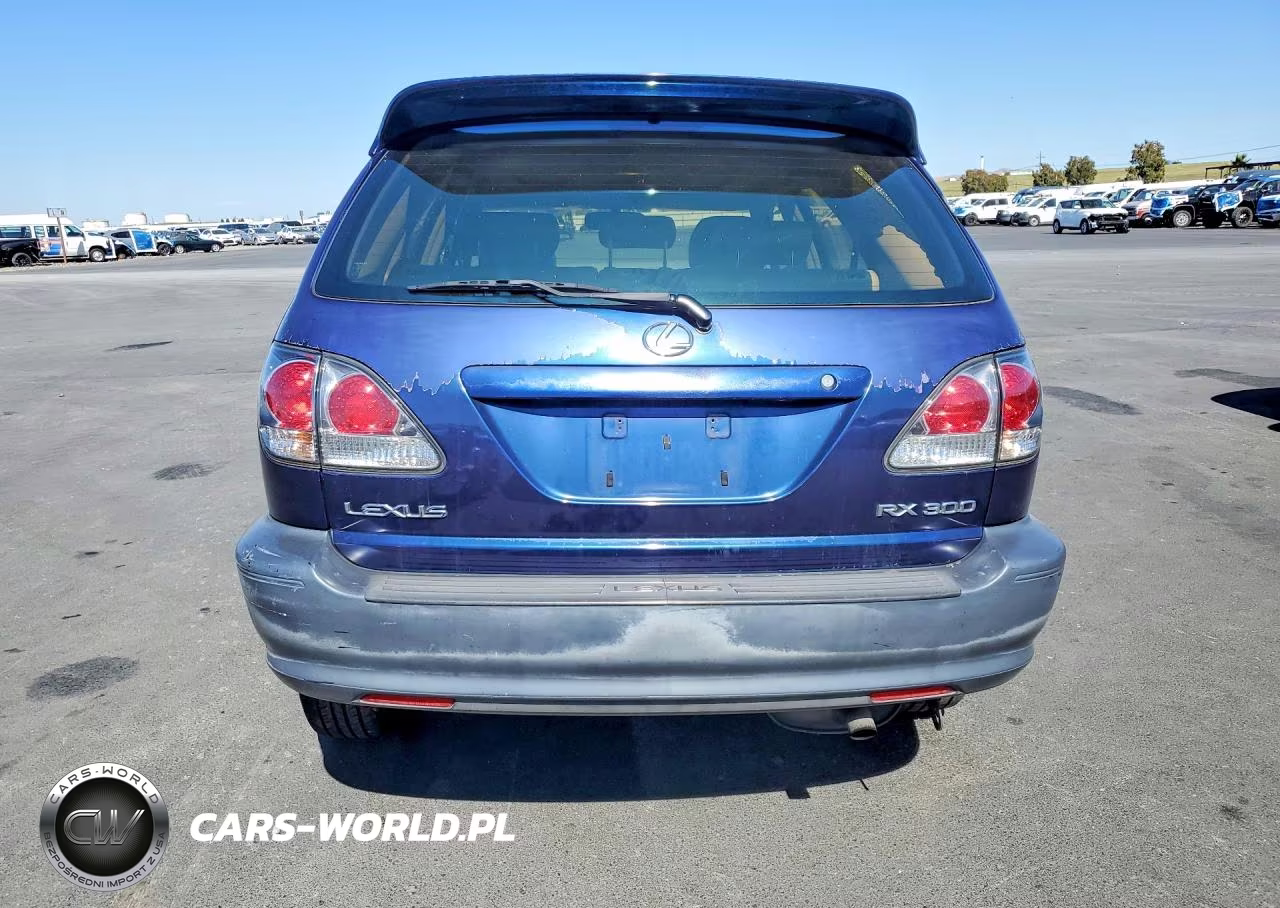 2001 Lexus Rx 300 VIN:JTJGF10U410099281 - 6