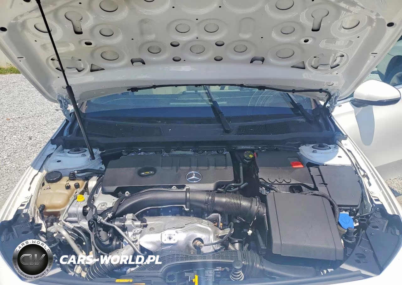 2019 Mercedes-Benz A 220 VIN:WDD3G4EB5KW025122 - 11