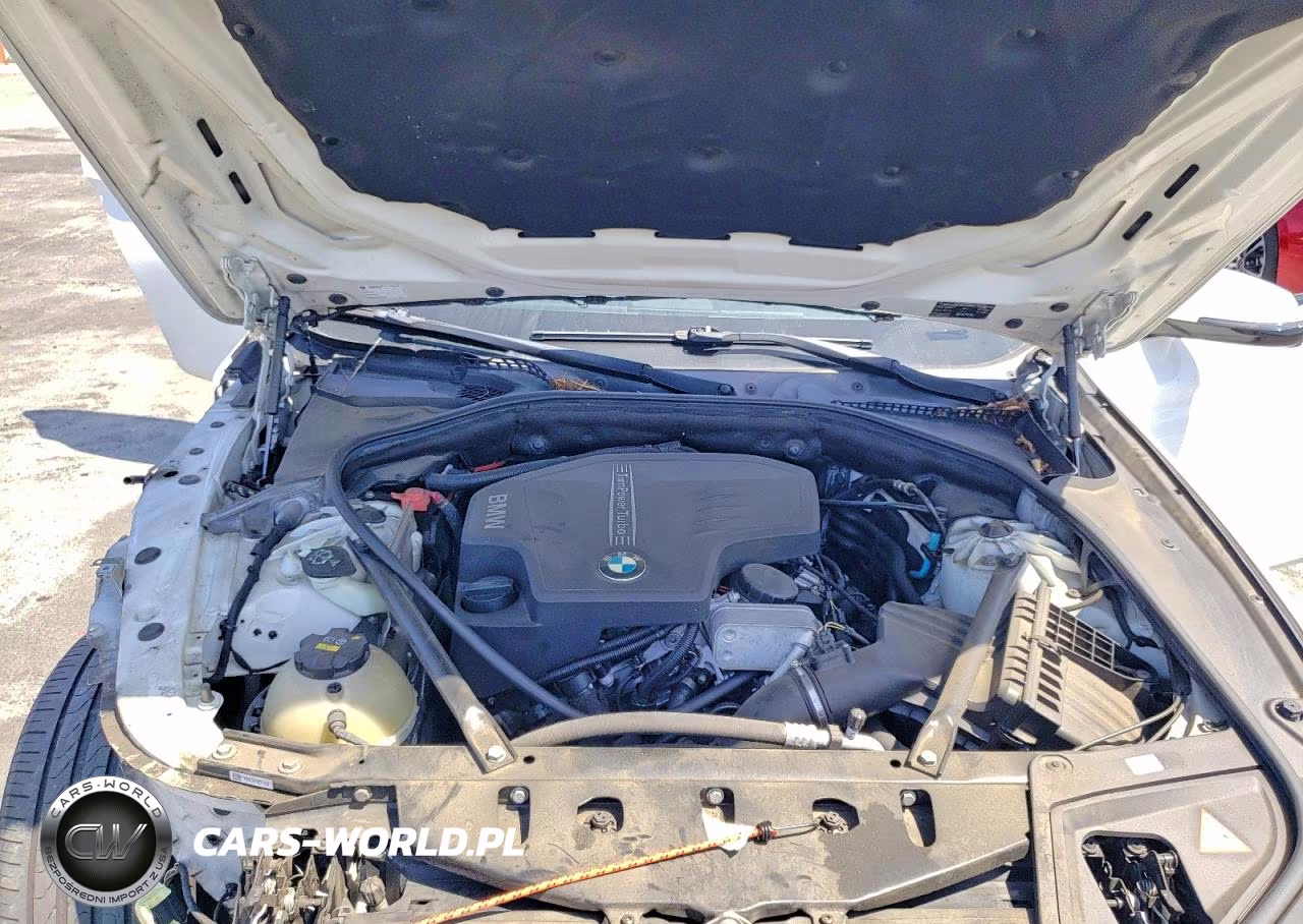 2015 BMW 528 I VIN:WBA5A5C52FD515202 - 11