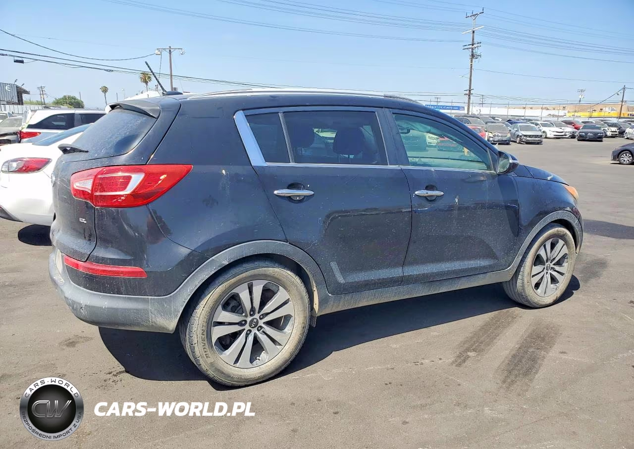 2012 Kia Sportage Ex VIN:KNDPC3A27C7224319 - 3