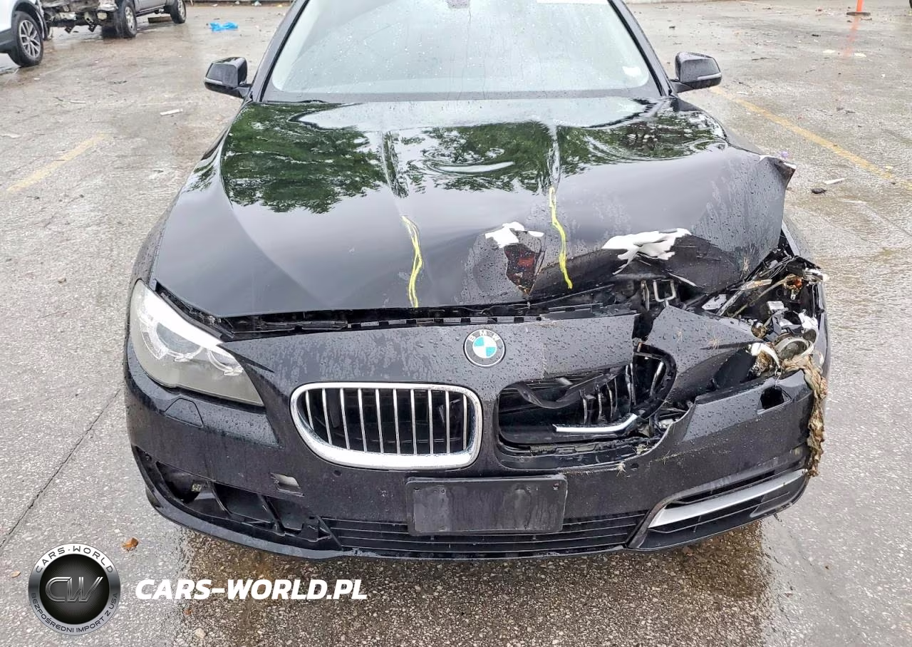 2014 BMW 535 Xi VIN:WBA5B3C51ED293171 - 11
